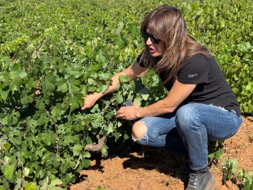 Noelia De Paz, La Osa Wines