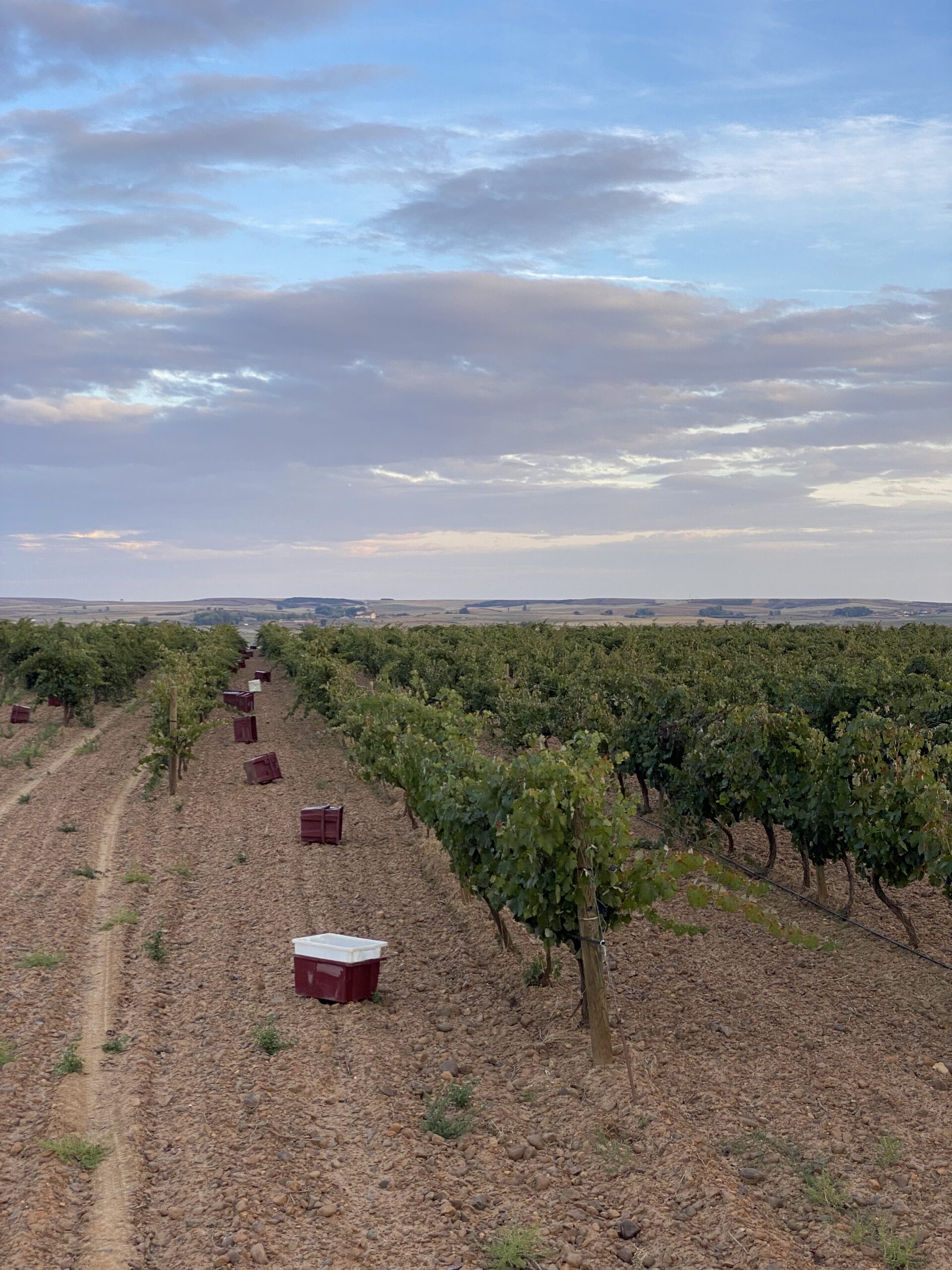 Roberto and his daughters